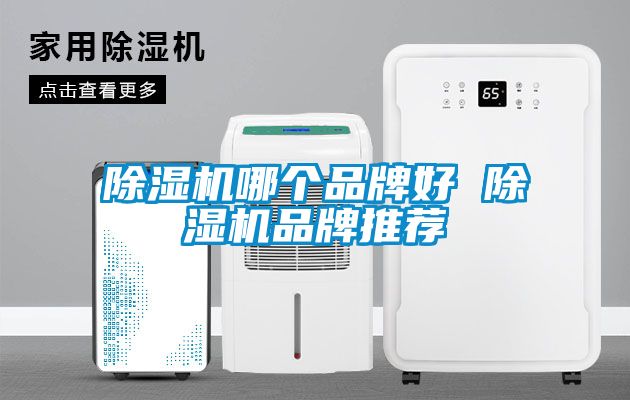 除濕機(jī)哪個品牌好 除濕機(jī)品牌推薦