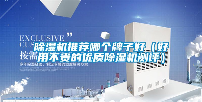 除濕機(jī)推薦哪個牌子好（好用不貴的優(yōu)質(zhì)除濕機(jī)測評）