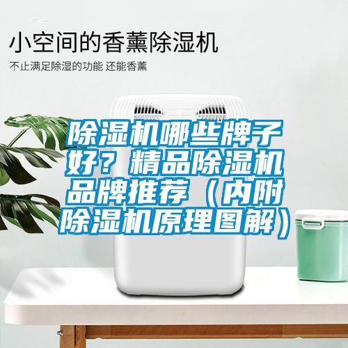 除濕機哪些牌子好？精品除濕機品牌推薦（內附除濕機原理圖解）