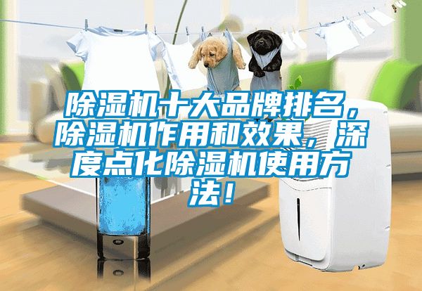 除濕機十大品牌排名，除濕機作用和效果，深度點化除濕機使用方法！