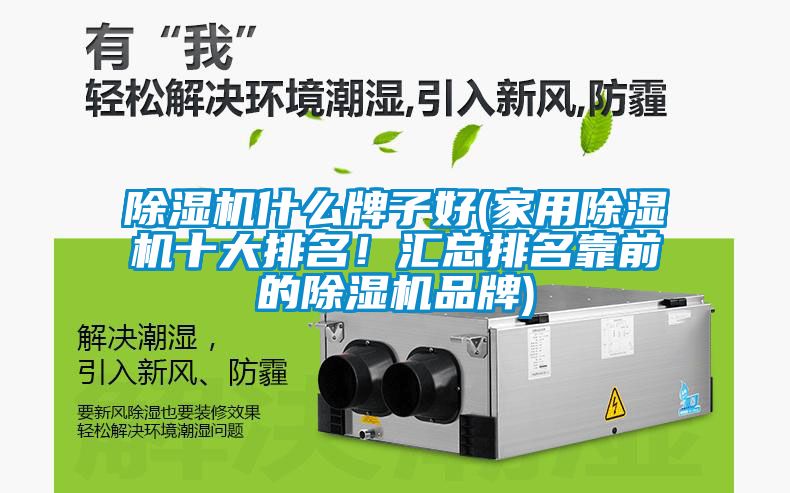 除濕機什么牌子好(家用除濕機十大排名！匯總排名靠前的除濕機品牌)