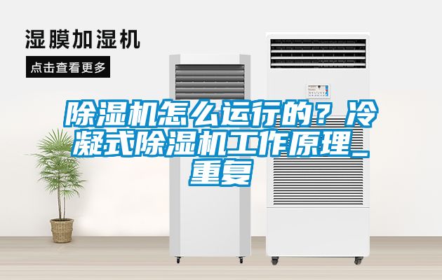 除濕機(jī)怎么運(yùn)行的？冷凝式除濕機(jī)工作原理_重復(fù)