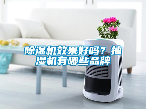 除濕機效果好嗎？抽濕機有哪些品牌