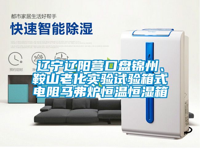 遼寧遼陽營口盤錦州、鞍山老化實驗試驗箱式電阻馬弗爐恒溫恒濕箱