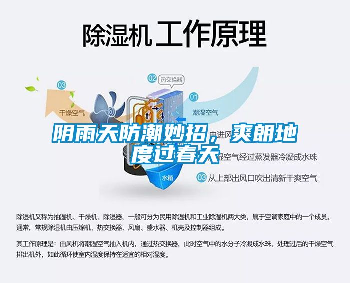 陰雨天防潮妙招，爽朗地度過(guò)春天