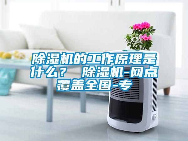除濕機的工作原理是什么？ 除濕機-網點覆蓋全國-專