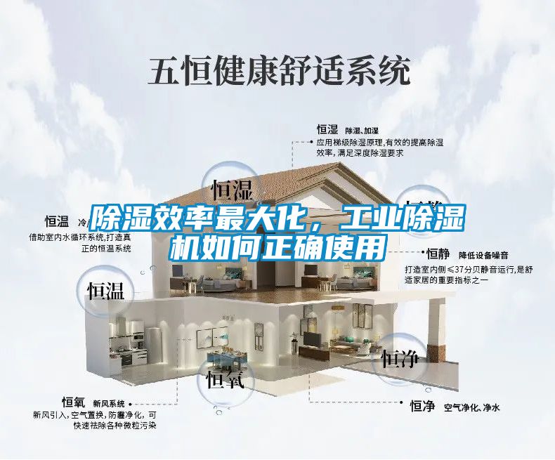 除濕效率最大化，工業除濕機如何正確使用