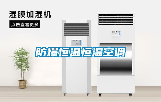 防爆恒溫恒濕空調