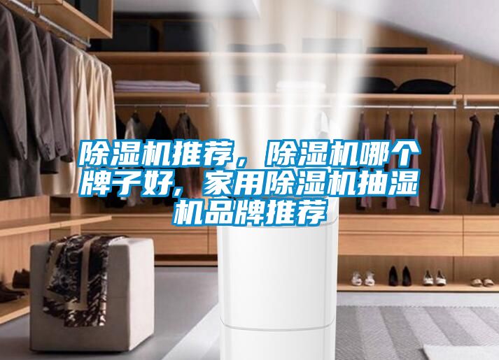 除濕機(jī)推薦，除濕機(jī)哪個牌子好, 家用除濕機(jī)抽濕機(jī)品牌推薦