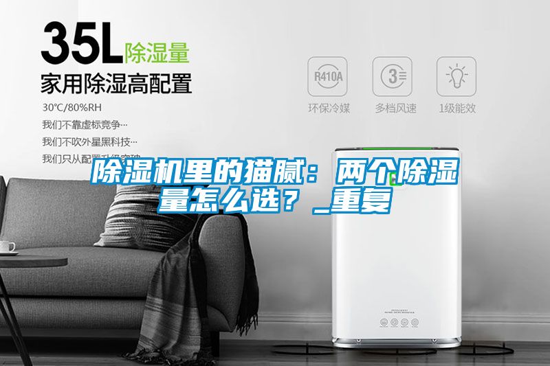 除濕機(jī)里的貓膩：兩個(gè)除濕量怎么選？_重復(fù)