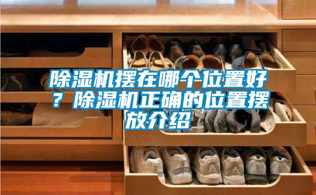 除濕機擺在哪個位置好？除濕機正確的位置擺放介紹