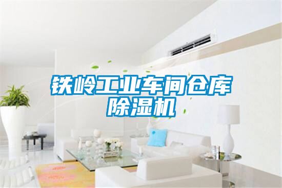 鐵嶺工業車間倉庫除濕機