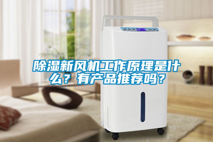 除濕新風機工作原理是什么？有產(chǎn)品推薦嗎？