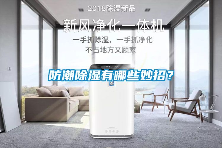 防潮除濕有哪些妙招？
