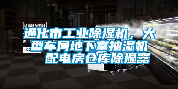 通化市工業除濕機，大型車間地下室抽濕機  配電房倉庫除濕器