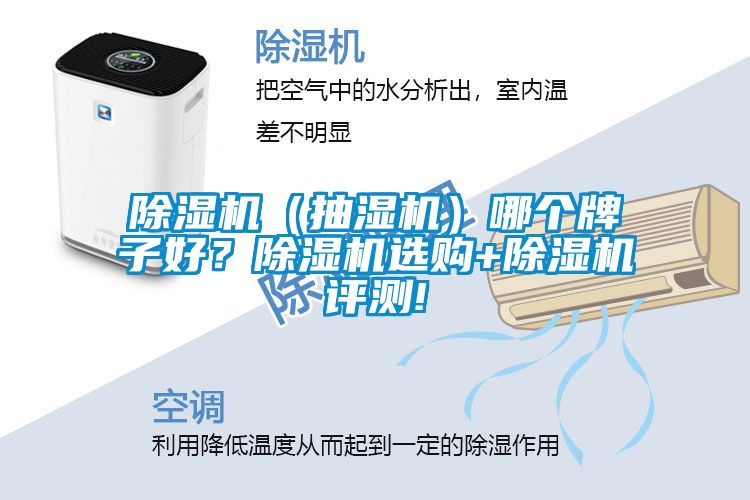 除濕機（抽濕機）哪個牌子好？除濕機選購+除濕機評測!
