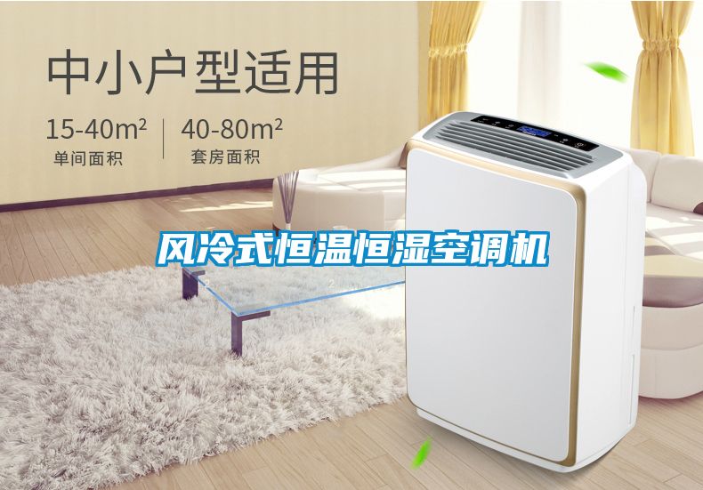 風冷式恒溫恒濕空調(diào)機