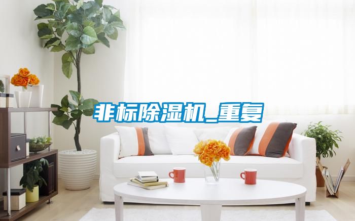 非標除濕機_重復(fù)