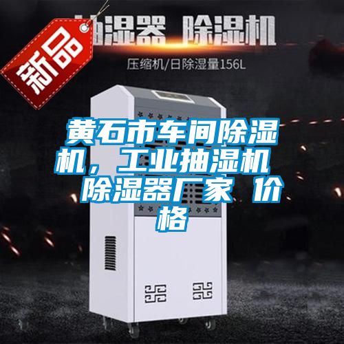 黃石市車(chē)間除濕機(jī)，工業(yè)抽濕機(jī)  除濕器廠家 價(jià)格