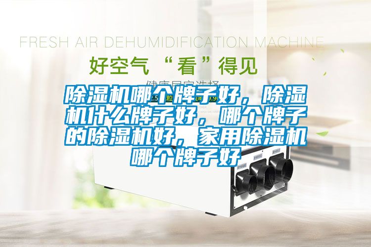 除濕機(jī)哪個(gè)牌子好，除濕機(jī)什么牌子好，哪個(gè)牌子的除濕機(jī)好，家用除濕機(jī)哪個(gè)牌子好