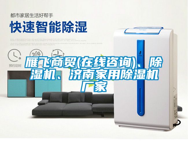 雁飛商貿(在線咨詢)、除濕機、濟南家用除濕機廠家