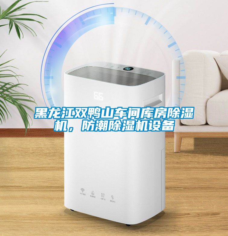 黑龍江雙鴨山車(chē)間庫(kù)房除濕機(jī)，防潮除濕機(jī)設(shè)備