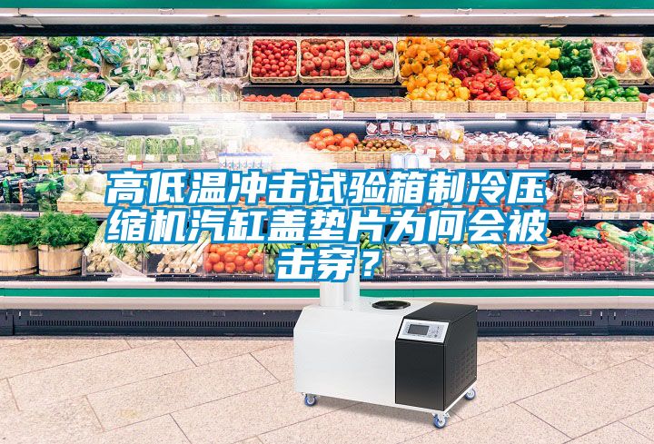 高低溫沖擊試驗箱制冷壓縮機汽缸蓋墊片為何會被擊穿？