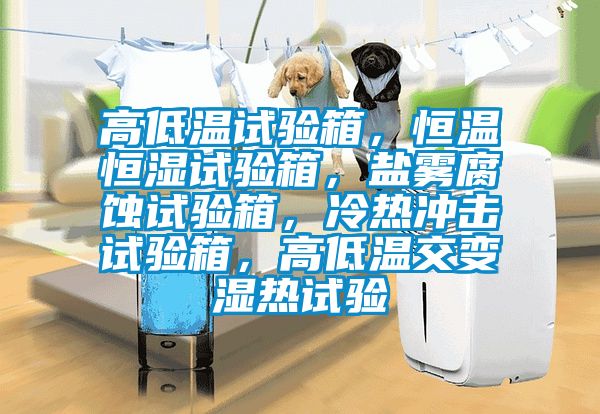 高低溫試驗箱，恒溫恒濕試驗箱，鹽霧腐蝕試驗箱，冷熱沖擊試驗箱，高低溫交變濕熱試驗