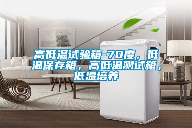 高低溫試驗(yàn)箱-70度，低溫保存箱，高低溫測(cè)試箱，低溫培養(yǎng)