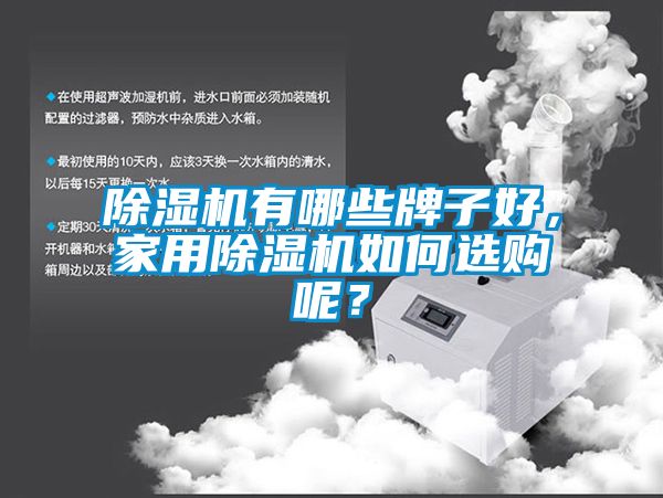 除濕機有哪些牌子好，家用除濕機如何選購呢？