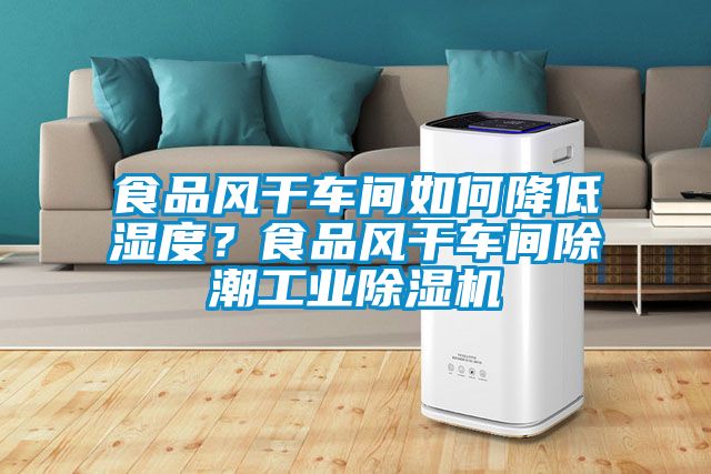 食品風干車間如何降低濕度？食品風干車間除潮工業除濕機