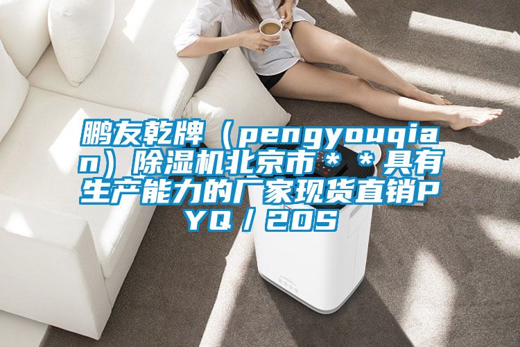 鵬友乾牌（pengyouqian）除濕機北京市＊＊具有生產能力的廠家現(xiàn)貨直銷PYQ／20S