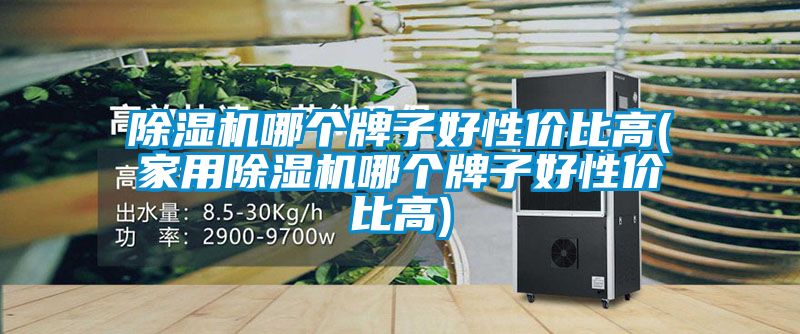 除濕機(jī)哪個(gè)牌子好性?xún)r(jià)比高(家用除濕機(jī)哪個(gè)牌子好性?xún)r(jià)比高)